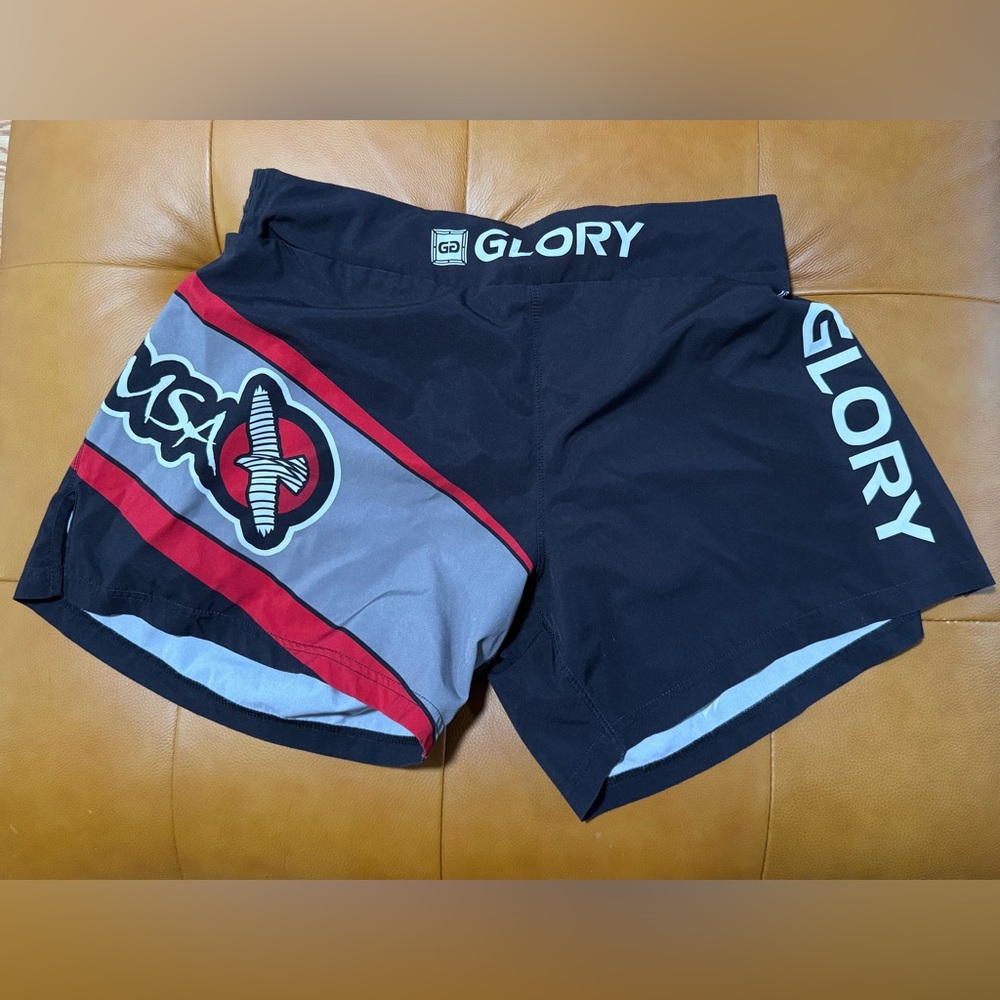 Hayabusa Glory Kickboxing Shorts